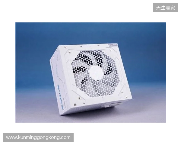 黑白双鹰，白金降临：技嘉猎鹰 冰猎鹰白金电源4月27日开售